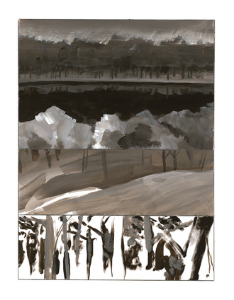 Bouture image 10