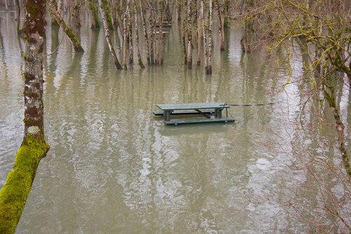 L’eau de la Charente